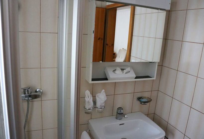 Bed and Breakfast Chasa Randulina