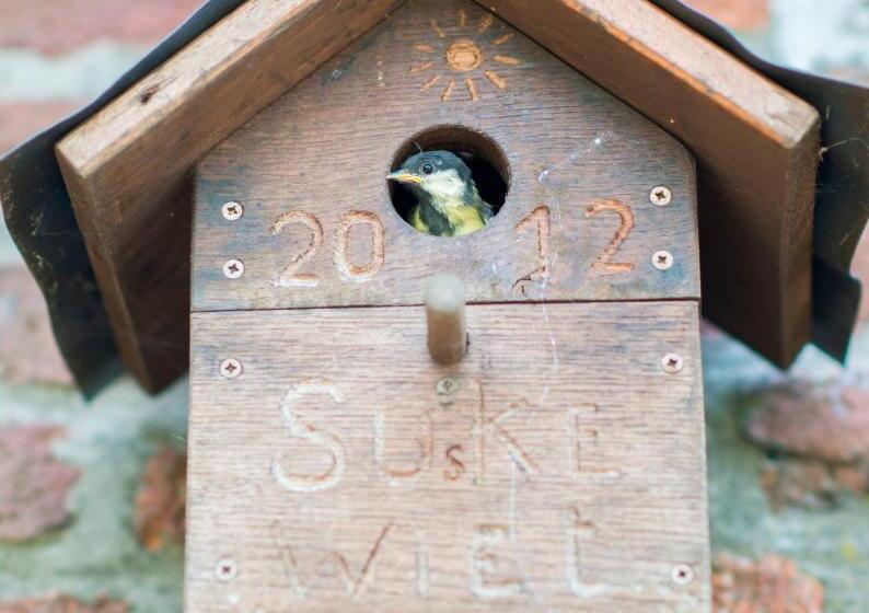 住宿加早餐 Gilles De Ver