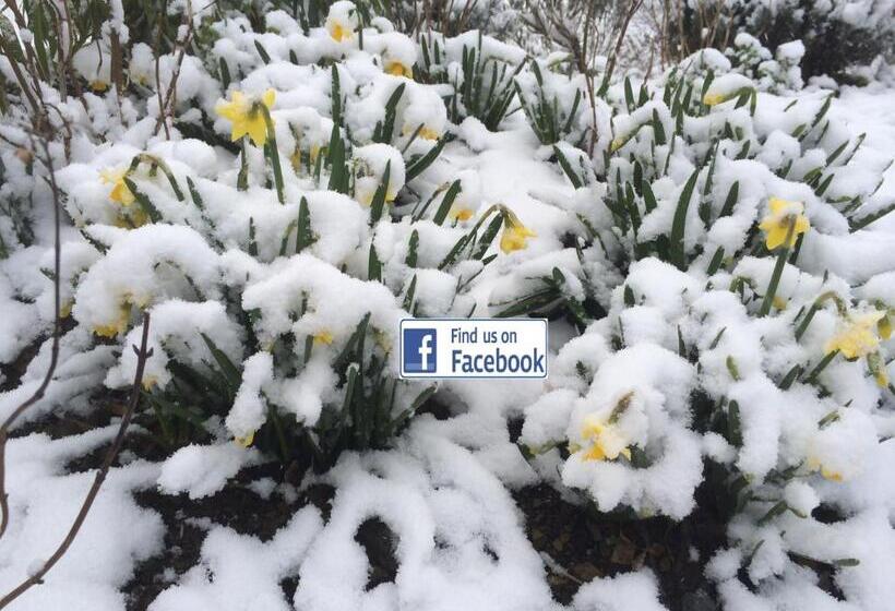 住宿加早餐 Gilles De Ver