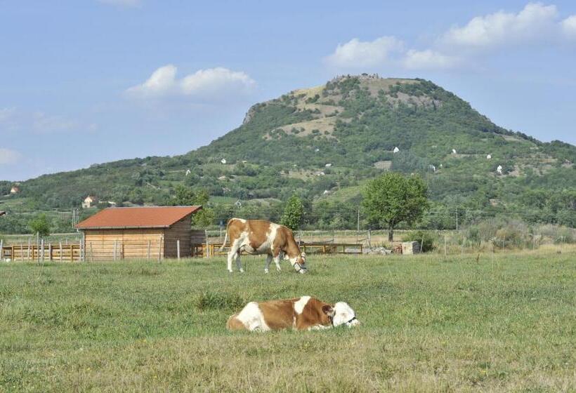 مبيت وإفطار Gyulavezér Lovasbirodalma
