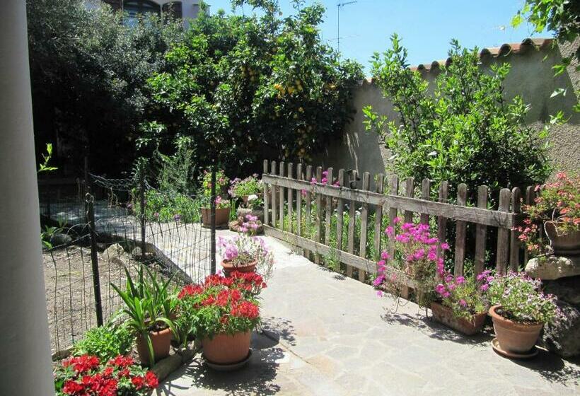 مبيت وإفطار Il Portico