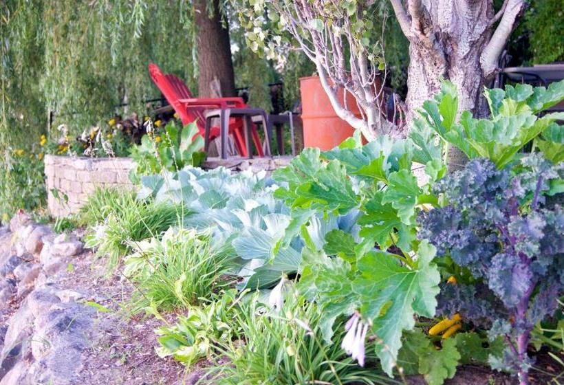 住宿加早餐 La Belle Aux Berges