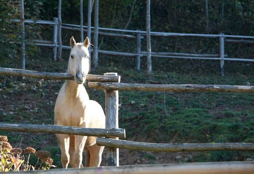 ベッドアンドブレックファースト L'angolo Di Paradiso