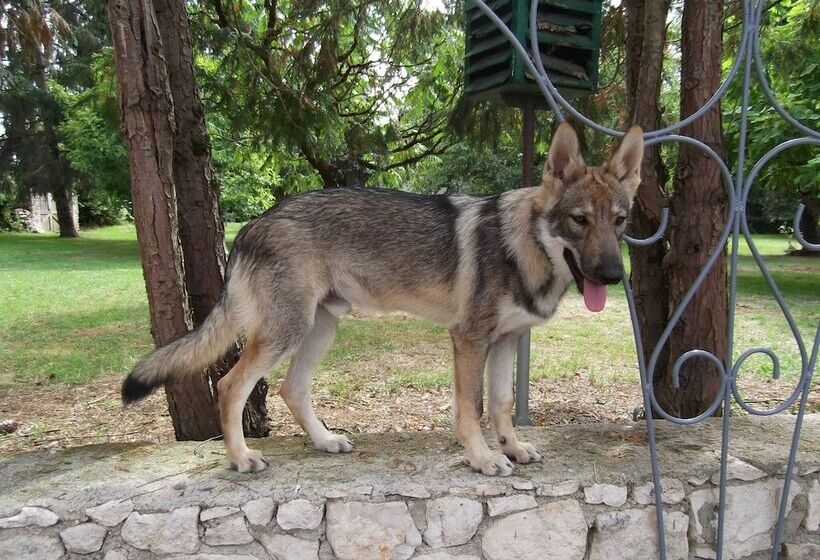 住宿加早餐  Le Clos De La Font Queroy