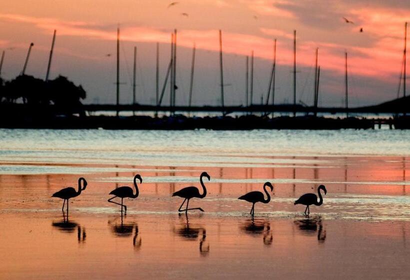 Bed and Breakfast Le Flamant Rouge Guesthouse