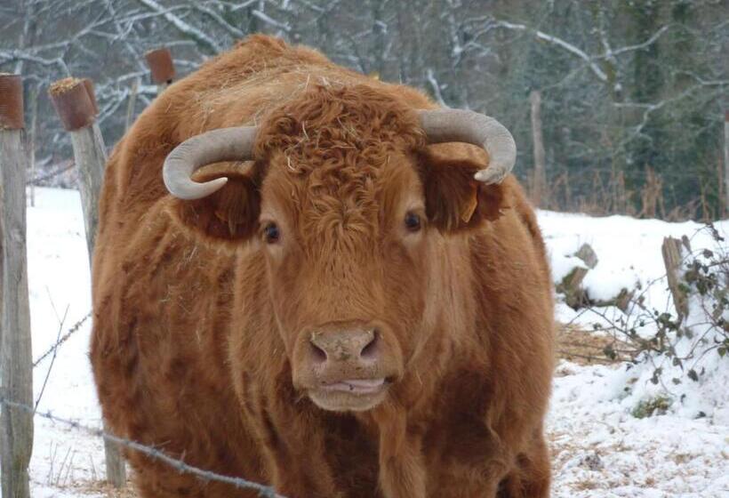 민박 L'hirondelle Chambres D'hotes