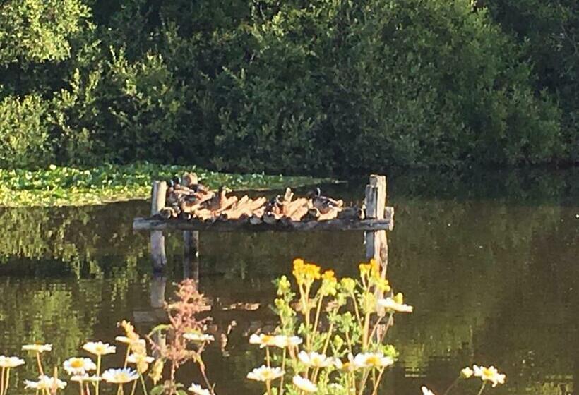 צימר Maison D'hôtes Les Escures