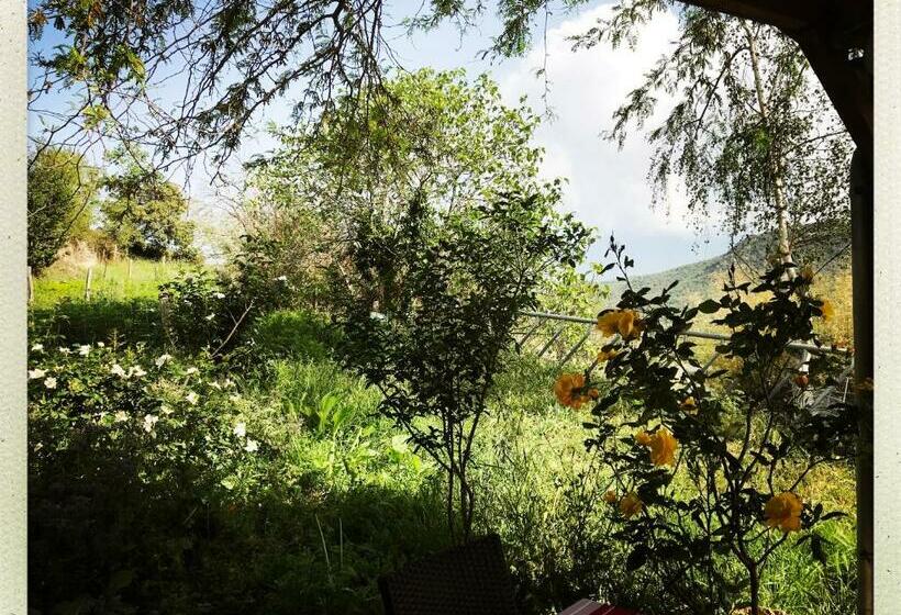 住宿加早餐  Mas Lluganas