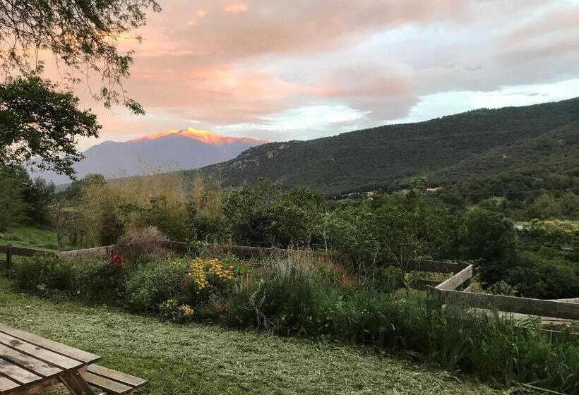 住宿加早餐  Mas Lluganas