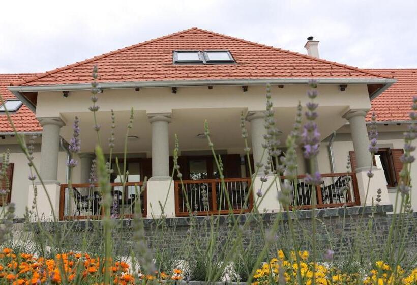 住宿加早餐  Villa Tolnay Vendégház