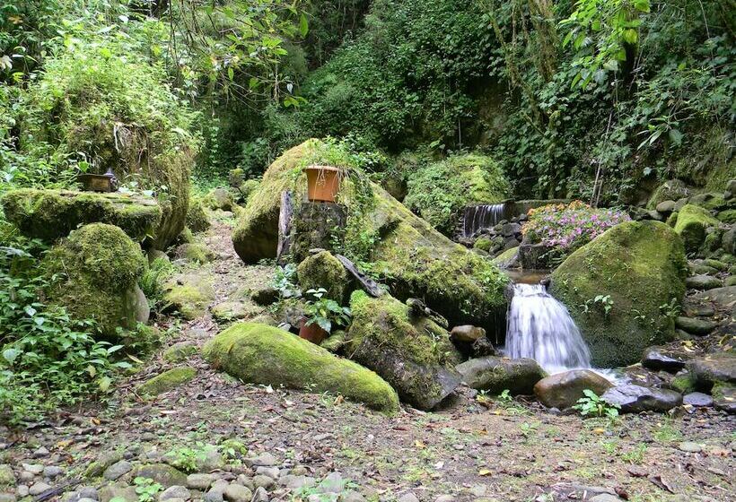 Casa San Rafael Del Pedregoso B&b Y Jardín Botánico