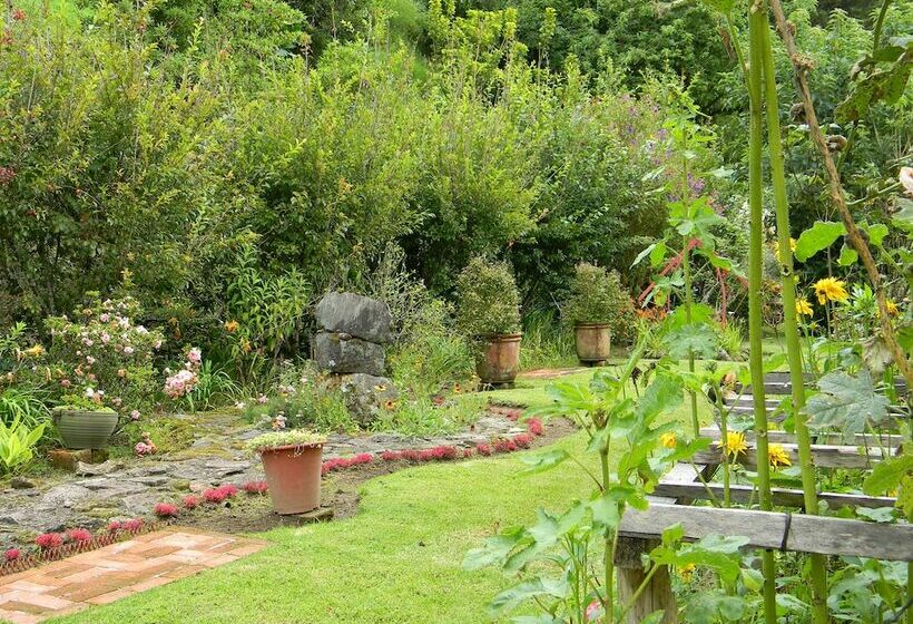 Casa San Rafael Del Pedregoso B&b Y Jardín Botánico