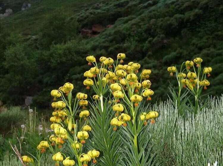 Chalet Hotel Les Marmottes 2 étoiles Nn