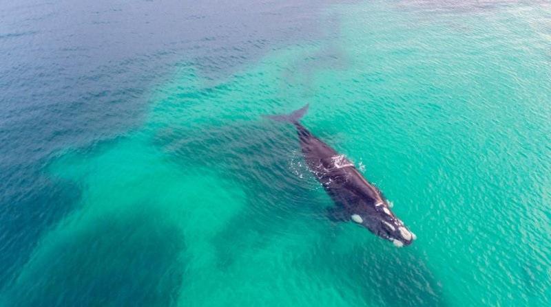 Hopetoun Motel & Chalet Village