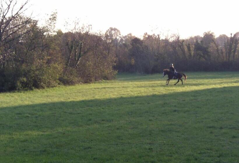 ホテル Agriturismo Al Ranch