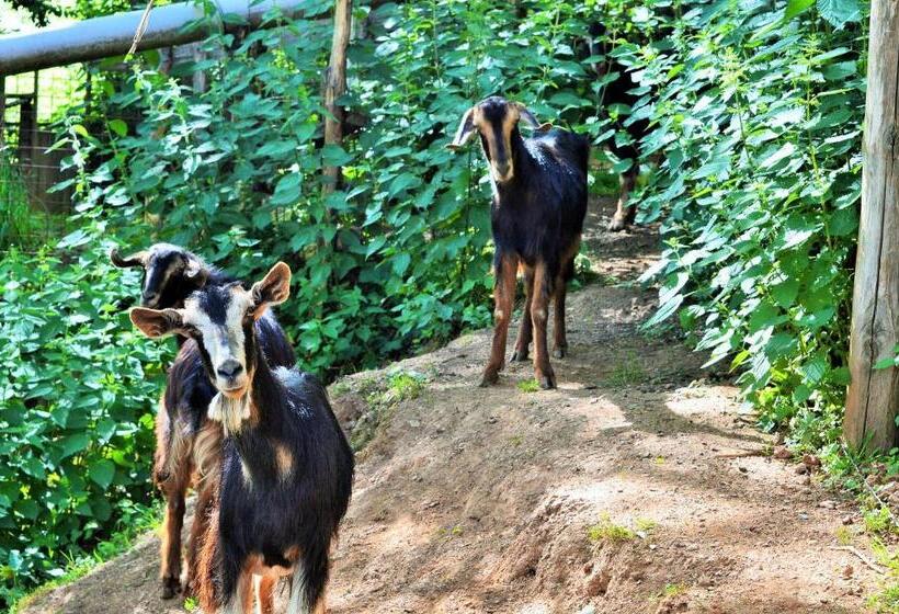 בית מלון כפרי Agriturismo E Turre