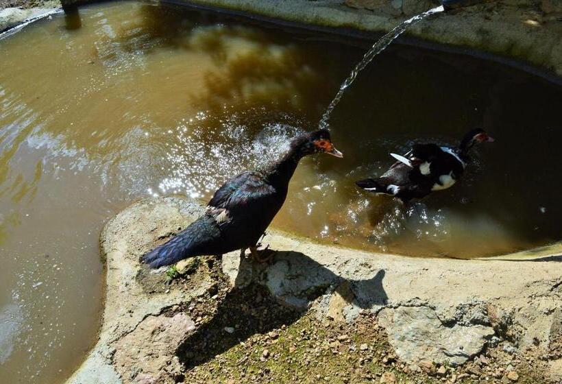 בית מלון כפרי Agriturismo E Turre