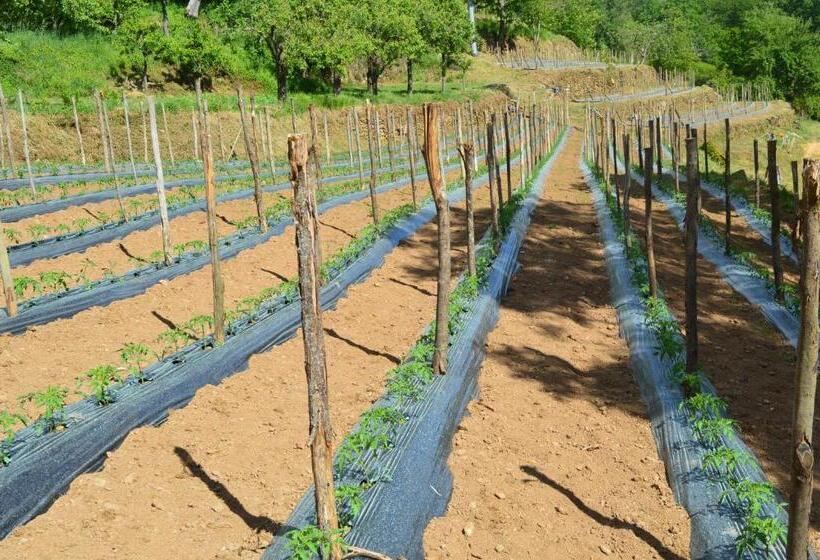 فندق Agriturismo E Turre