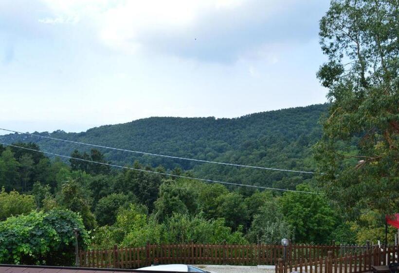 בית מלון כפרי Agriturismo E Turre