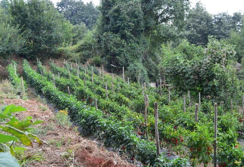 فندق Agriturismo E Turre