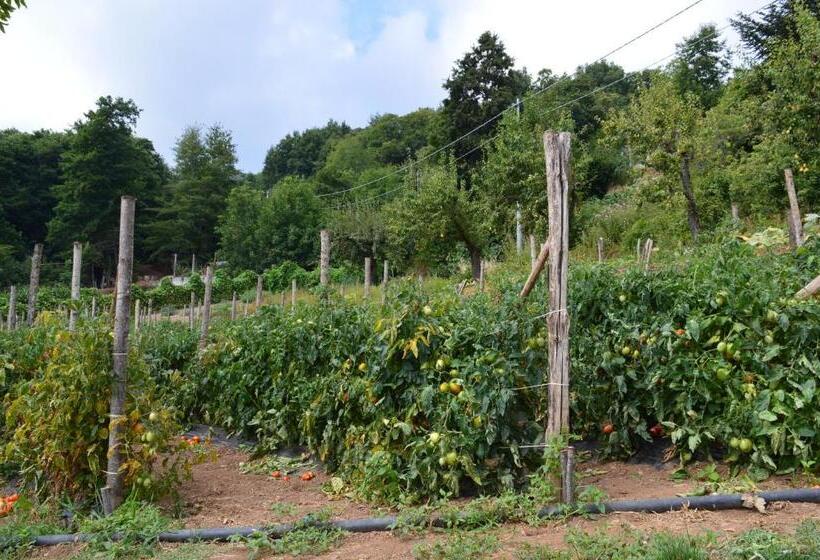 בית מלון כפרי Agriturismo E Turre