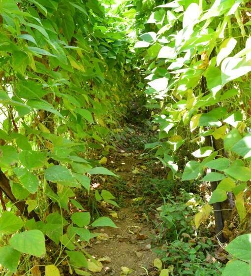 בית מלון כפרי Agriturismo E Turre