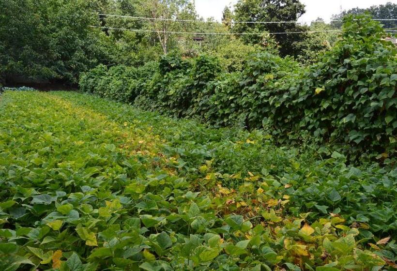 فندق Agriturismo E Turre