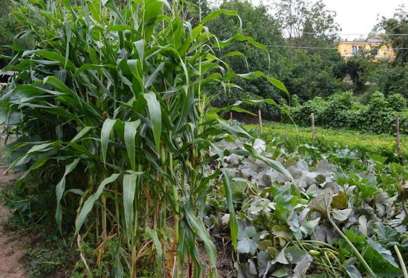 فندق Agriturismo E Turre