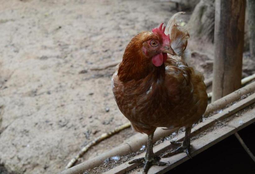 فندق Agriturismo E Turre