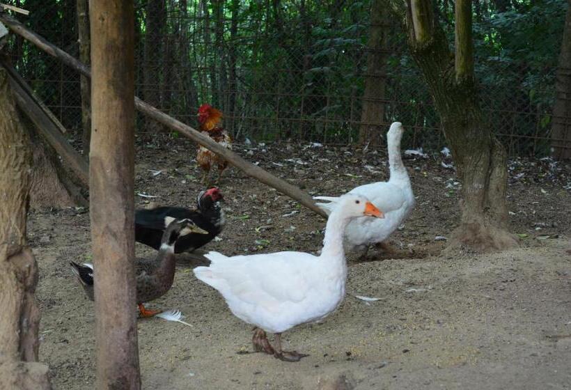 בית מלון כפרי Agriturismo E Turre