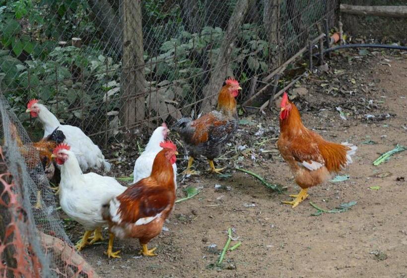 בית מלון כפרי Agriturismo E Turre