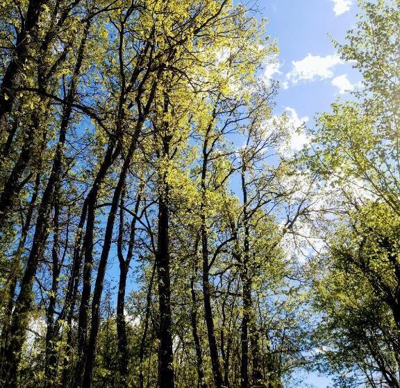 ホテル Agriturismo Malvista