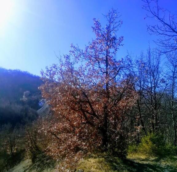 ホテル Agriturismo Malvista