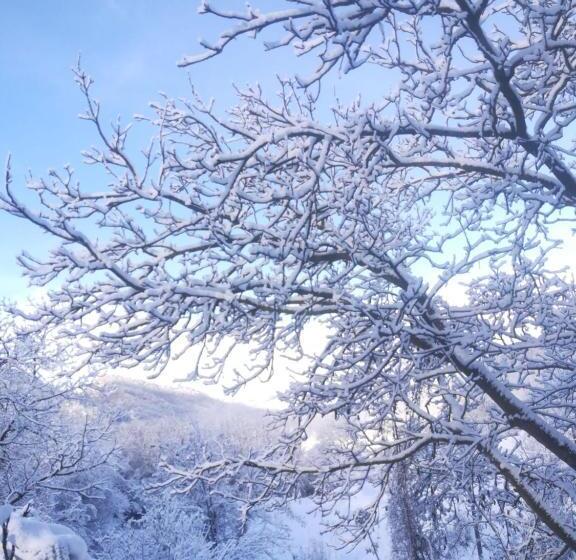 ホテル Agriturismo Malvista
