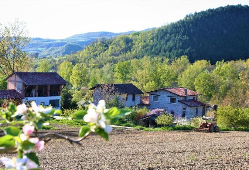 ホテル Agriturismo Malvista