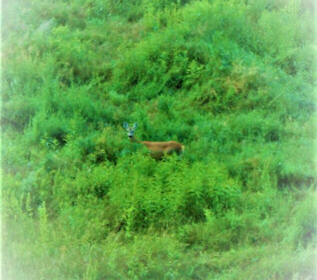 ホテル Agriturismo Malvista