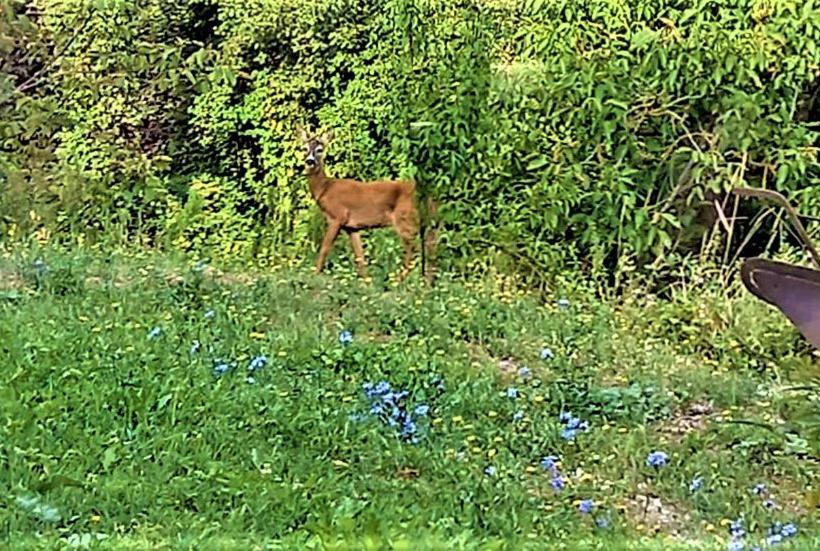 ホテル Agriturismo Malvista