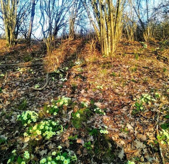 ホテル Agriturismo Malvista