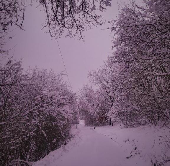 ホテル Agriturismo Malvista