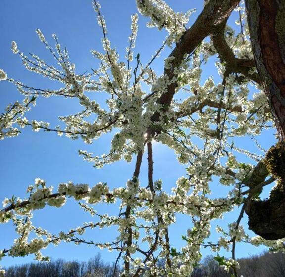 ホテル Agriturismo Malvista