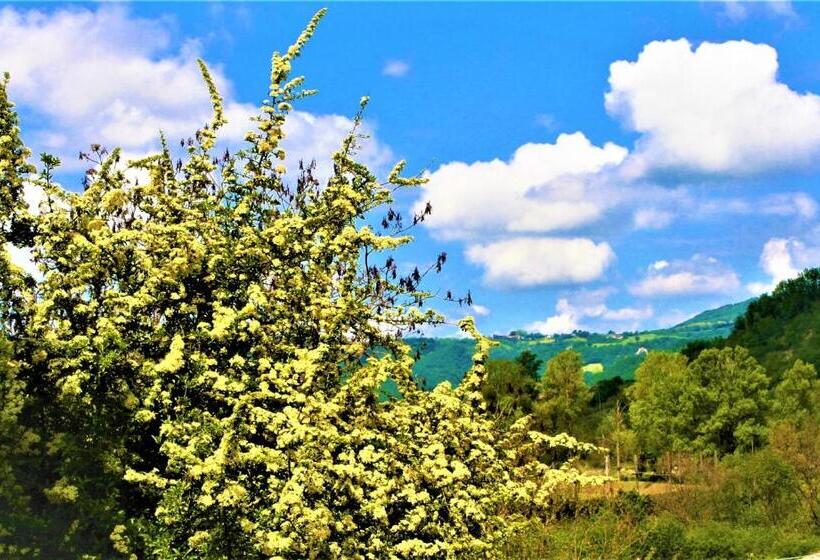 ホテル Agriturismo Malvista