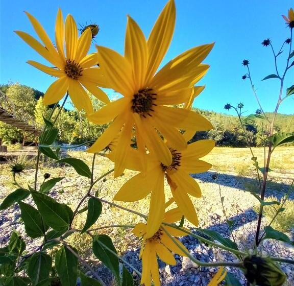 ホテル Agriturismo Malvista