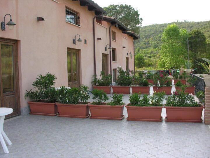 בית מלון כפרי Agriturismo Solare