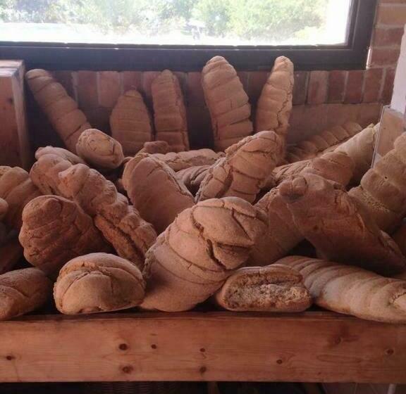 בית מלון כפרי Agriturismo Solare