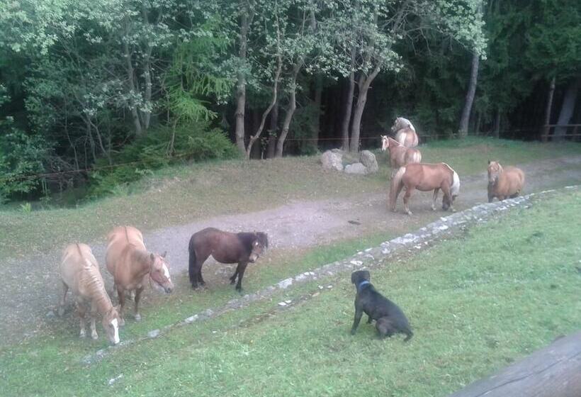 בית מלון כפרי Albergo Ristorante Sargas