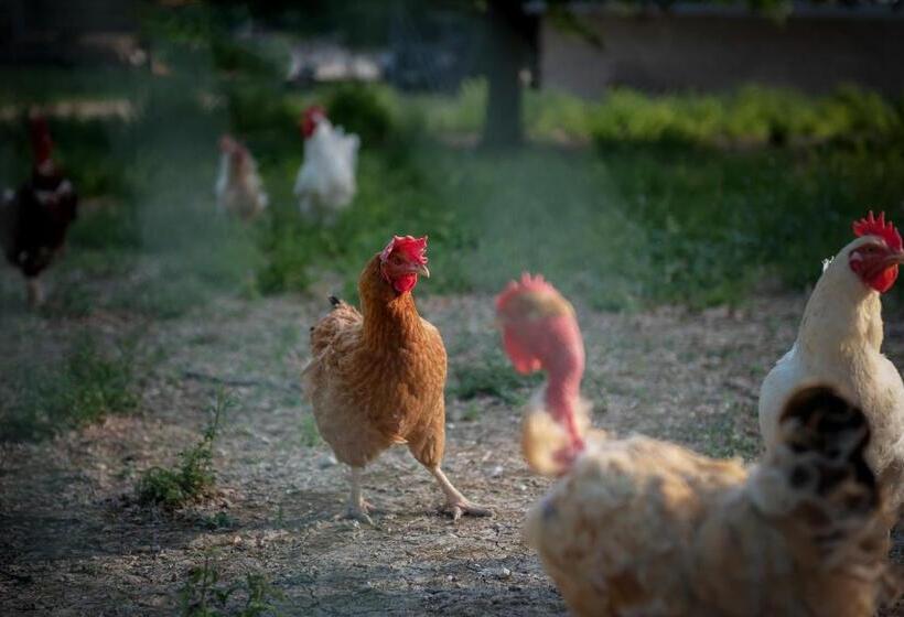 호텔 Badia Agriturismo