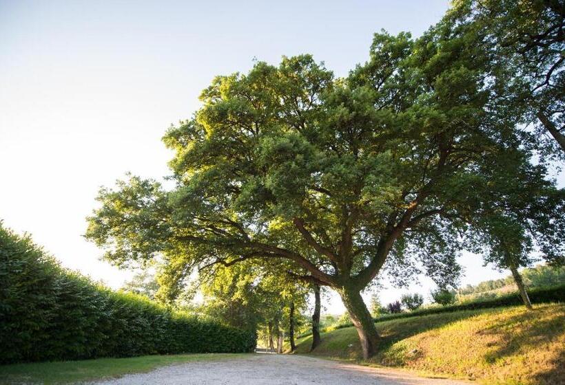 فندق Badia Agriturismo