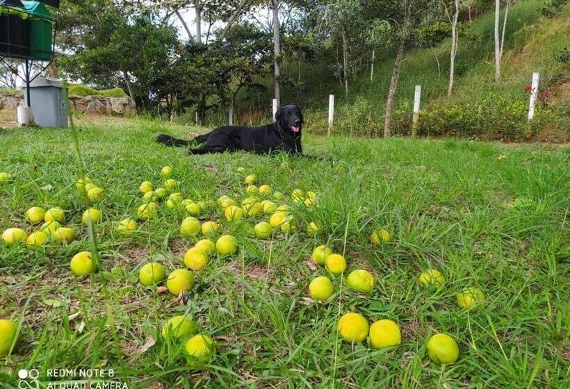 호텔 Cabañas Cañon Del Chicamocha