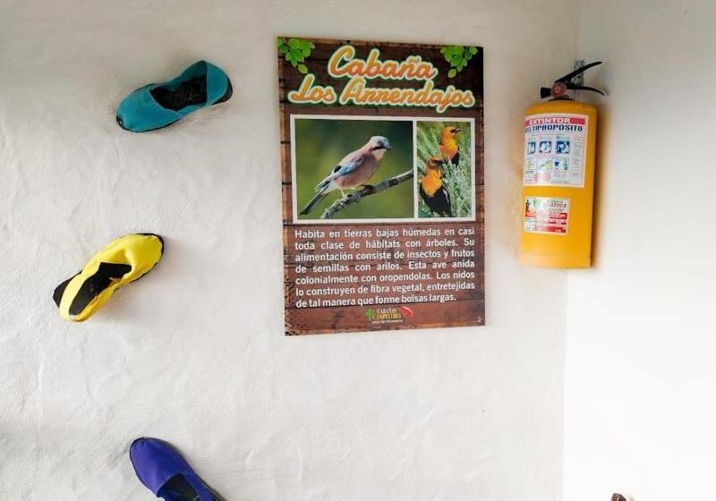 호텔 Cabañas Cañon Del Chicamocha