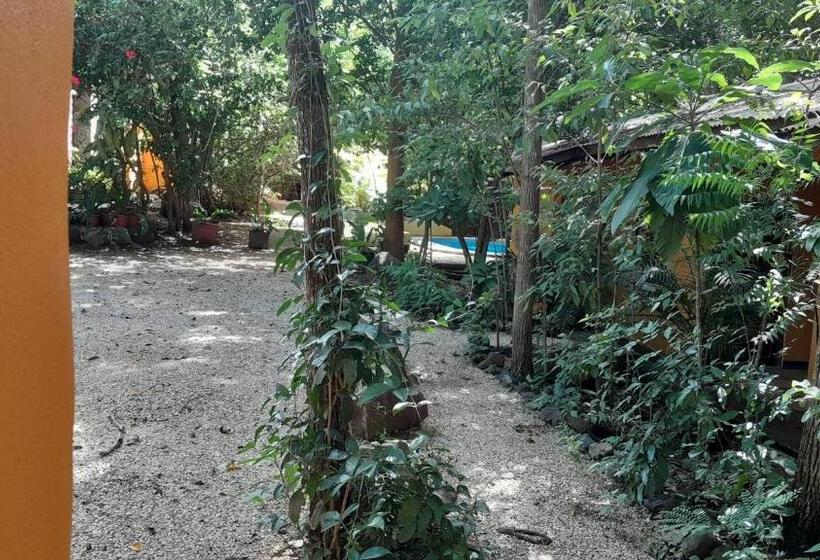 酒店 Cabinas La Playa